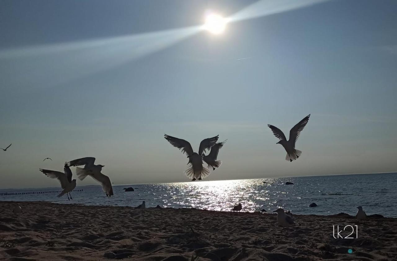 Fewo Abendrot Insel Poel Esterno foto